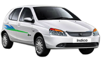 INDICA (1)